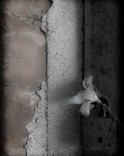 CAMINO-006